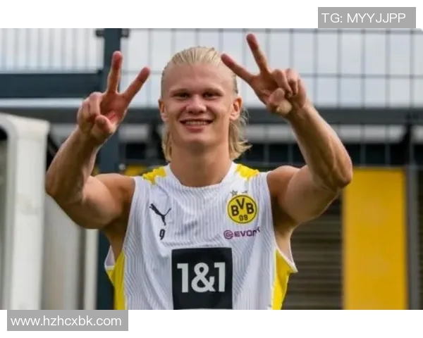 预测：哈兰德胜率几何？数据模型告诉你答案