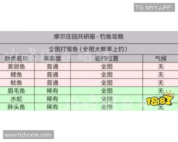 国王评分出炉表现如何高光时刻与低迷困境一览